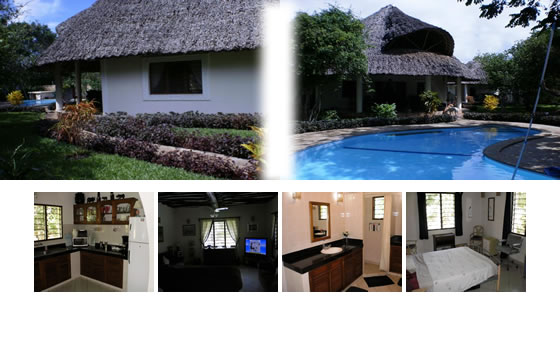 Exterior and Interior of the house