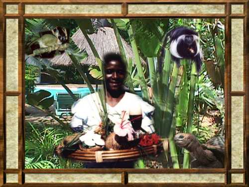 Come To Boko Boko