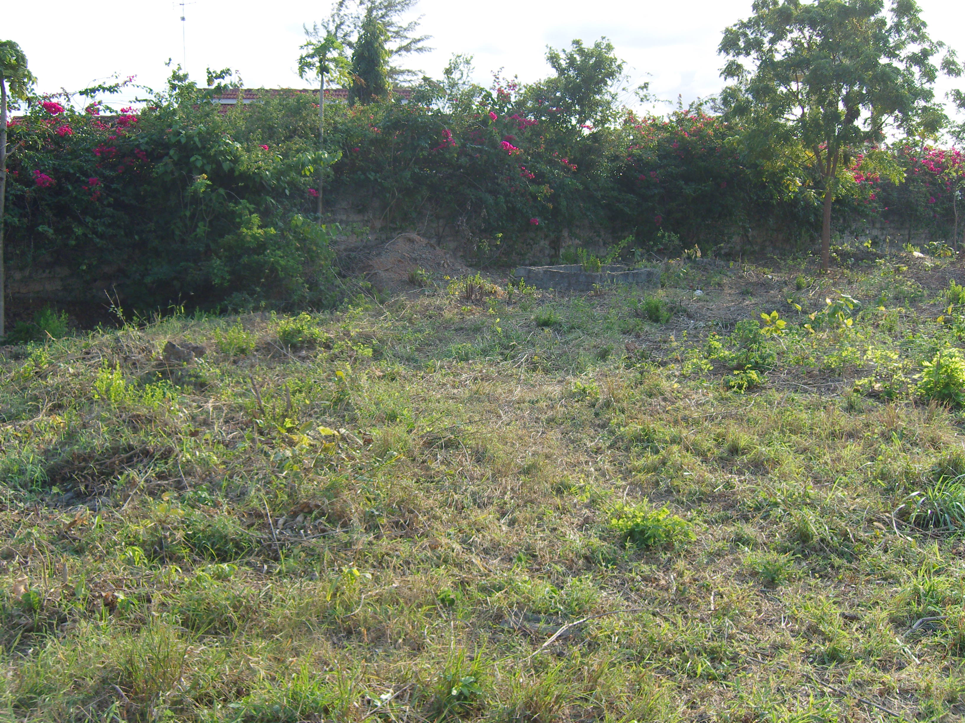 land near the beach