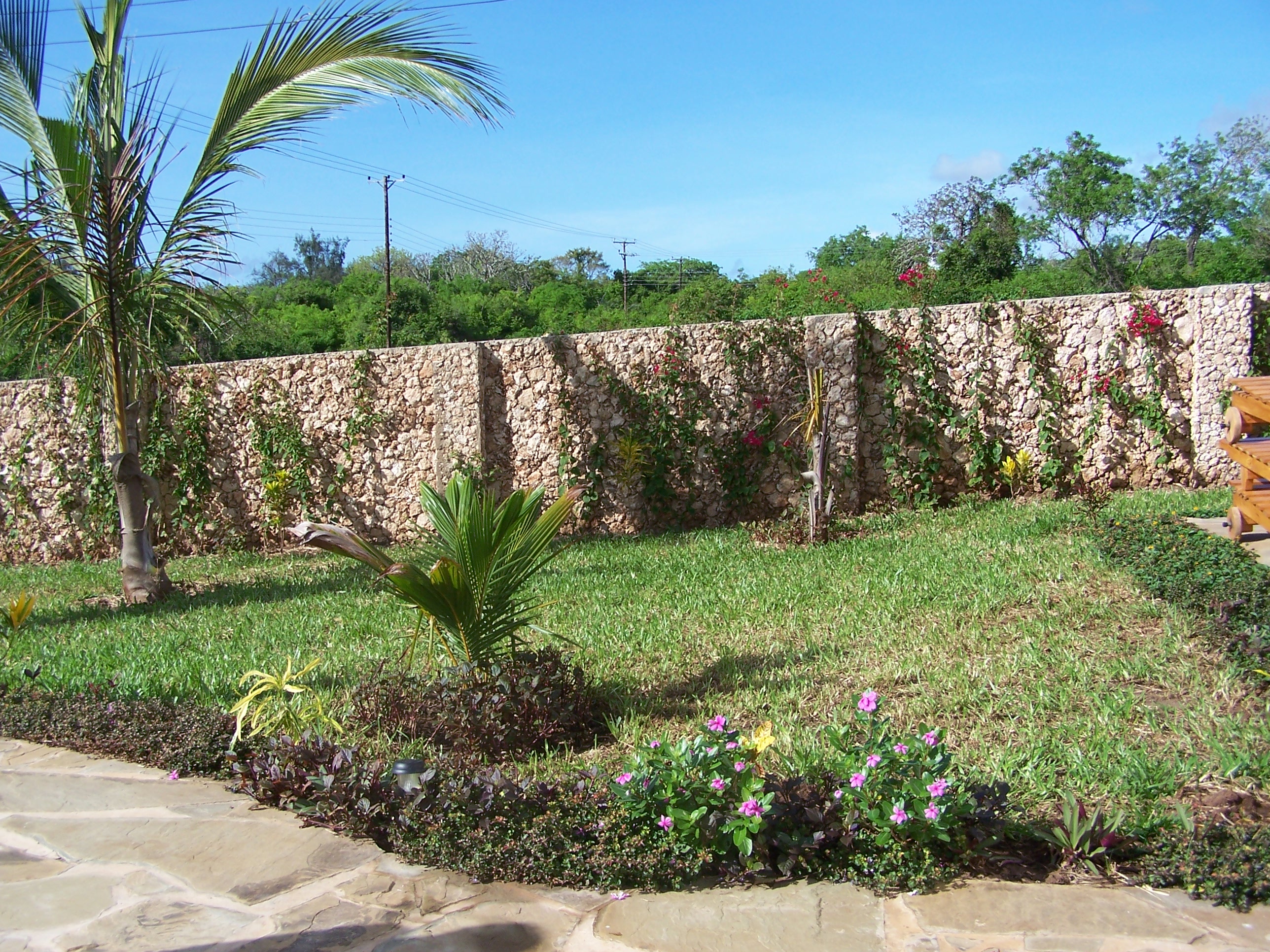 A section of the garden