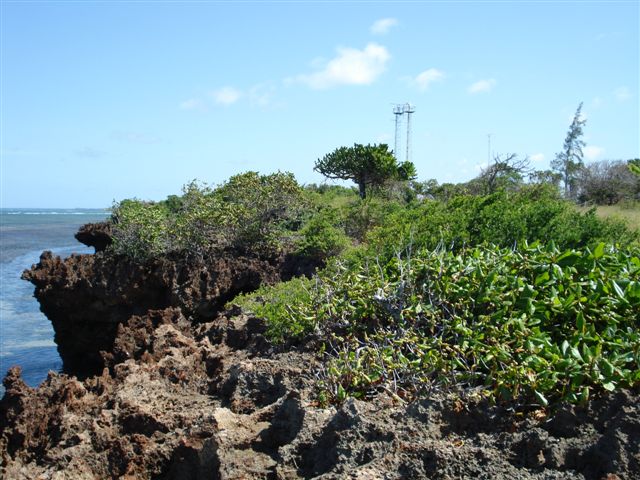 Beach View