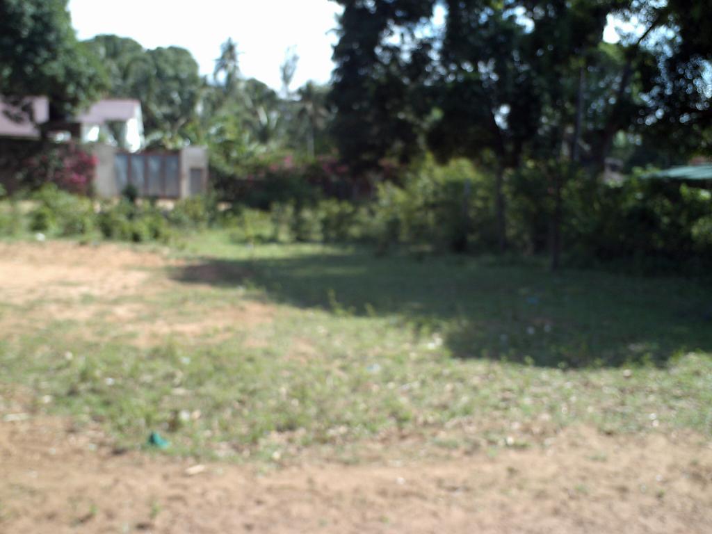 surrounding area