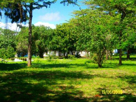 Kilifi Beach Plots