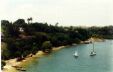 the bay