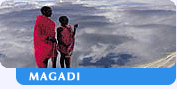 Magadi