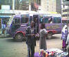 It looks harmless from a distance - the Purple People Eater