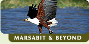 Marsabit & Beyond