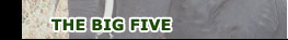 The Big Five