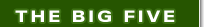 The Big Five
